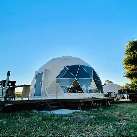 Hillview Farmstay Gundagai Zewnętrze zdjęcie