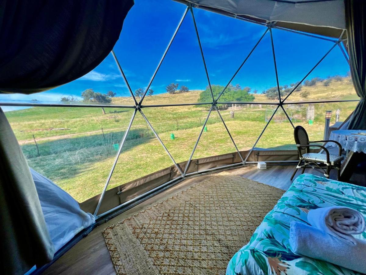 Hillview Farmstay Gundagai Zewnętrze zdjęcie