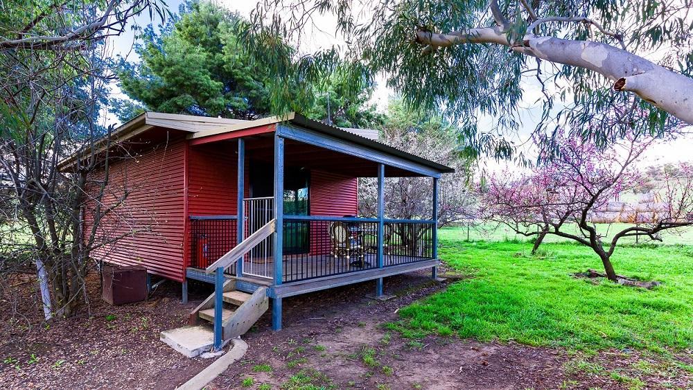 Hillview Farmstay Gundagai Zewnętrze zdjęcie