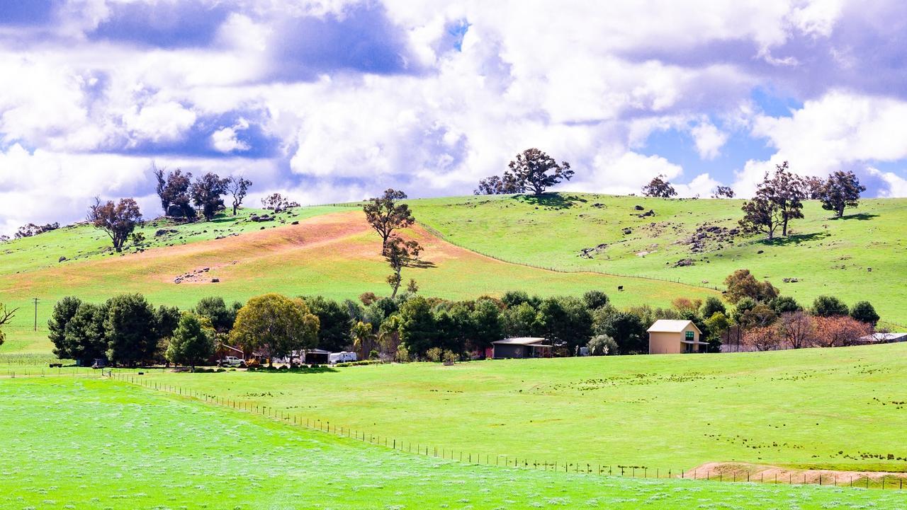 Hillview Farmstay Gundagai Zewnętrze zdjęcie