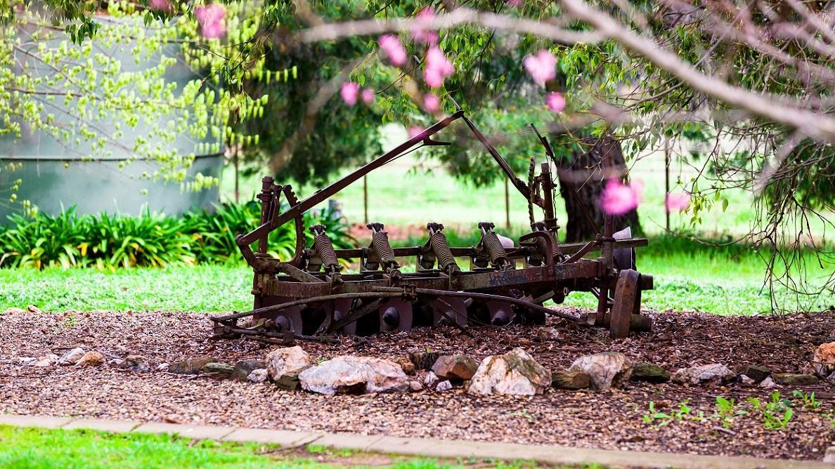 Hillview Farmstay Gundagai Zewnętrze zdjęcie