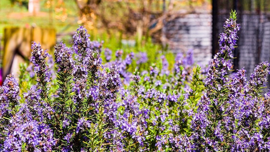 Hillview Farmstay Gundagai Zewnętrze zdjęcie