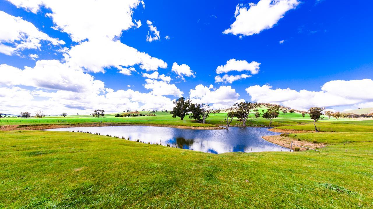Hillview Farmstay Gundagai Zewnętrze zdjęcie