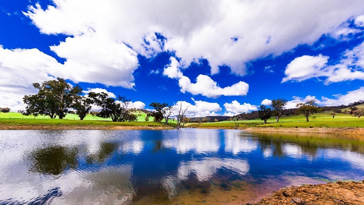Hillview Farmstay Gundagai Zewnętrze zdjęcie