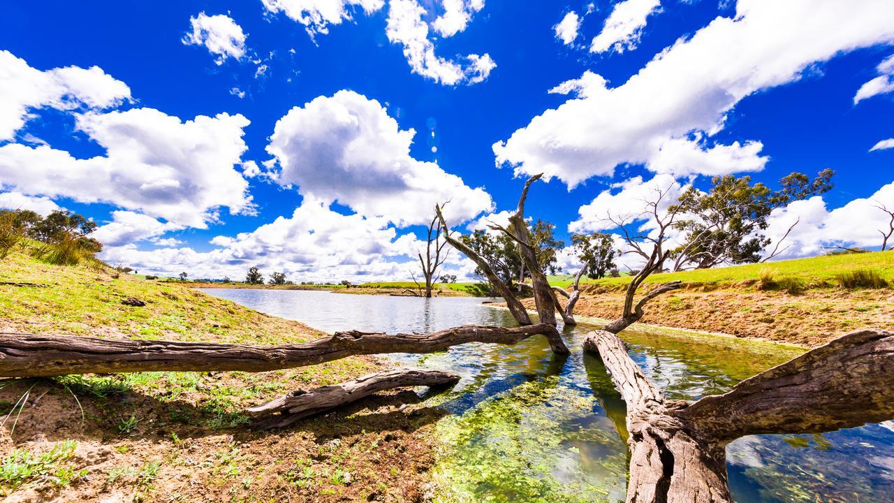 Hillview Farmstay Gundagai Zewnętrze zdjęcie