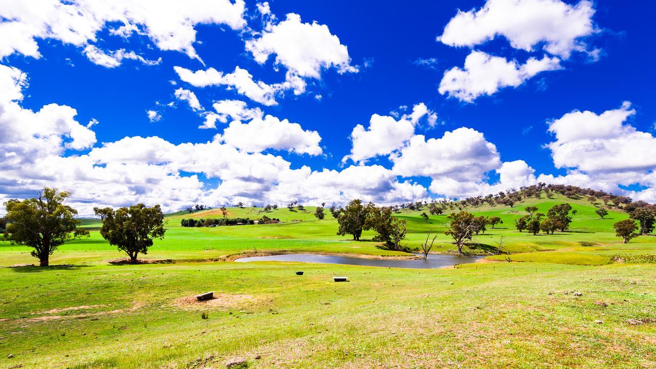 Hillview Farmstay Gundagai Zewnętrze zdjęcie