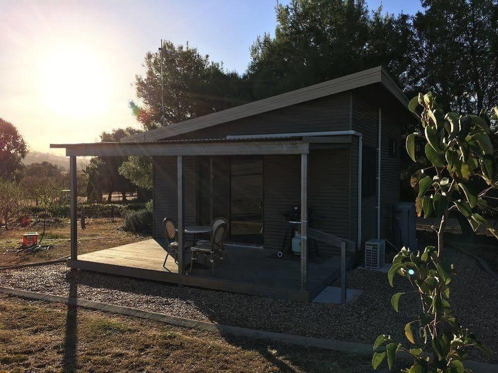 Hillview Farmstay Gundagai Zewnętrze zdjęcie