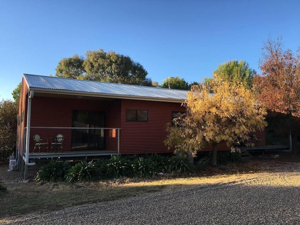 Hillview Farmstay Gundagai Zewnętrze zdjęcie