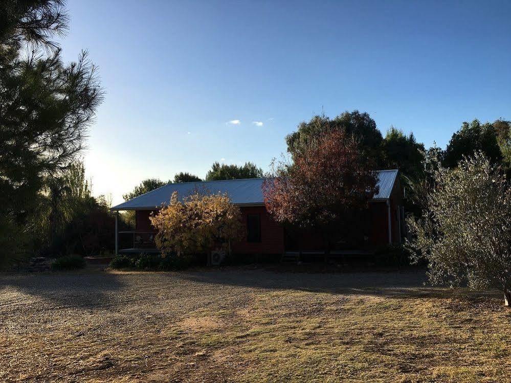 Hillview Farmstay Gundagai Zewnętrze zdjęcie