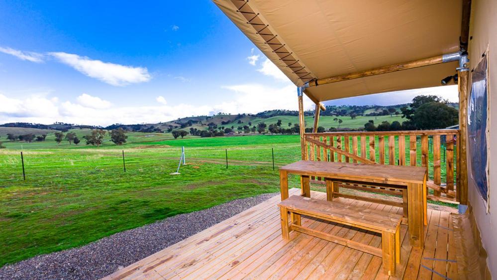 Hillview Farmstay Gundagai Zewnętrze zdjęcie