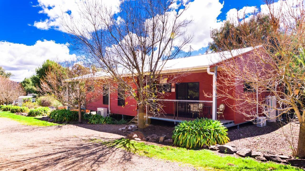 Hillview Farmstay Gundagai Zewnętrze zdjęcie