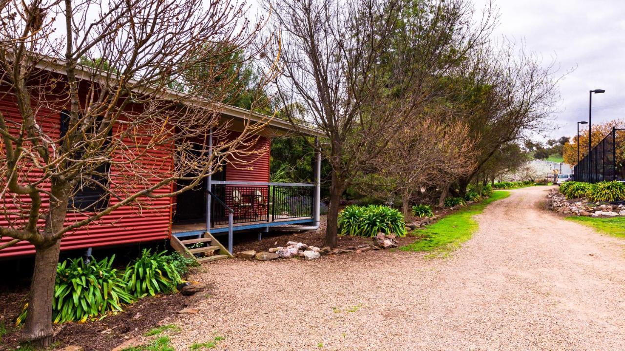Hillview Farmstay Gundagai Zewnętrze zdjęcie